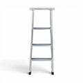 Metal Ladders